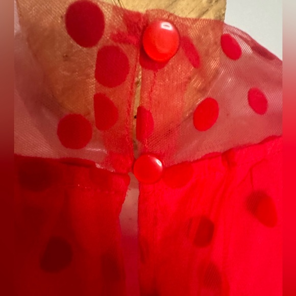 First Love Red Sheer Polka Dot Blouse - Picture 6 of 8